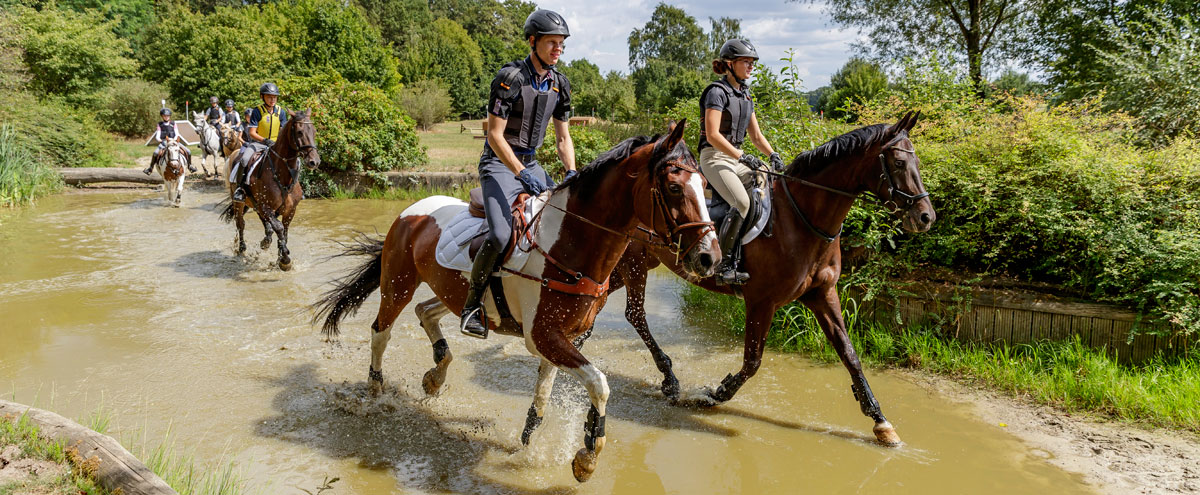 Ausbildung von Reiter und Pferd - Foto: Lafrentz