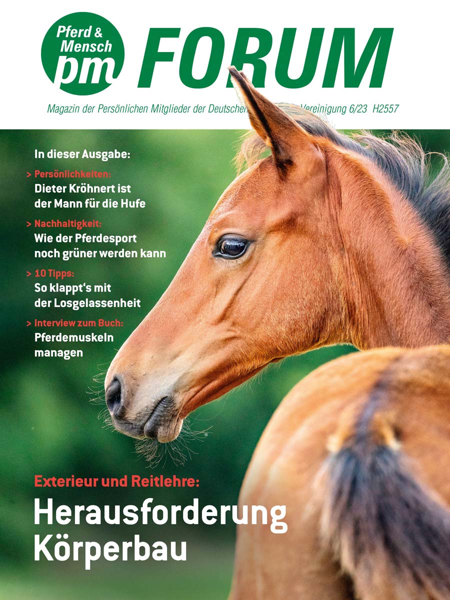 Cover vom PM-Forum 6/2023, Titelbild von Christiane Slawik