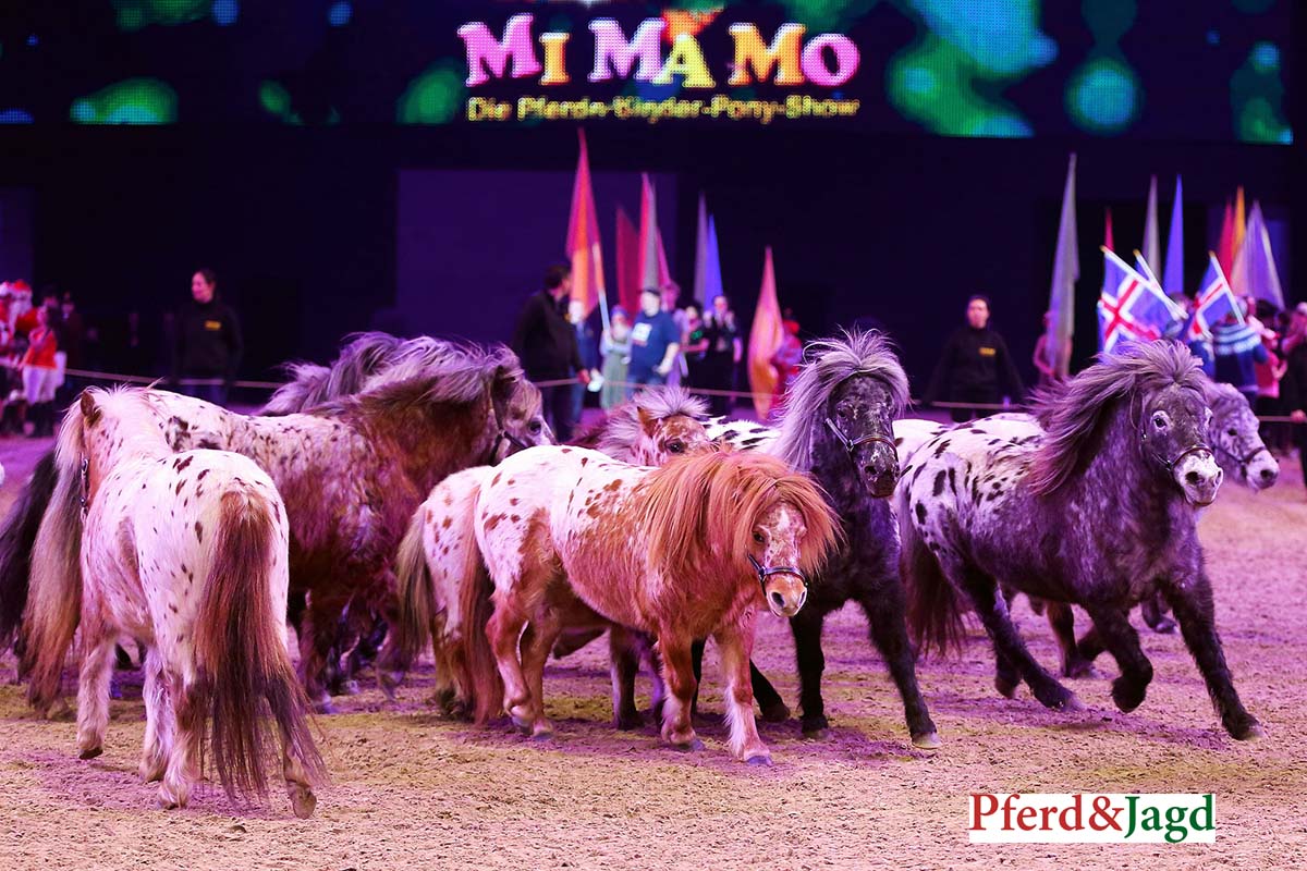 Auf der Pferd & Jagd in Hannover begeistert die Pferder-Kinder-Pony-Show MiMaMo kleine und große Pferdefans gleichermaßen. Foto: Pferd & Jagd