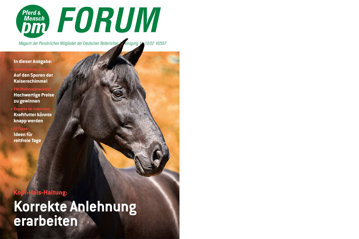PM-Forum Ausgabe 11-12/2022 mit Titelfoto von Christiane Slawik