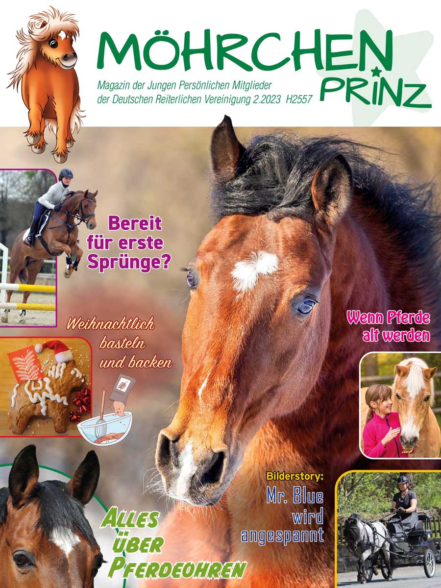 Cover des Möhrchenprinz-Magazins, Ausgabe 2/2023, Titelbild von Christiane Slawik