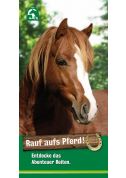 Rauf aufs Pferd - Werbeflyer für Vereine (Print)