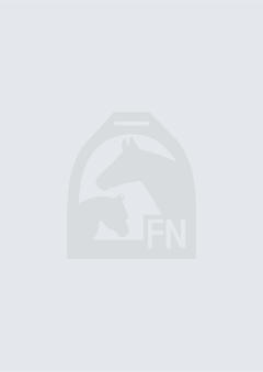 Gründung eines Pferdesportvereins (Download)